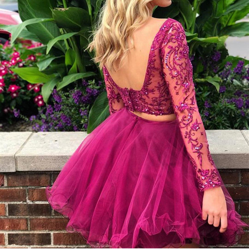 Lace Embroidery Tulle Long Sleeves Homecoming Dresses Two Piece alinanova